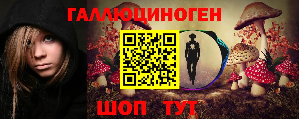 даркнет сайт  Вход с VPN  Абинск  Псилоцибиновые грибы ЛСД 