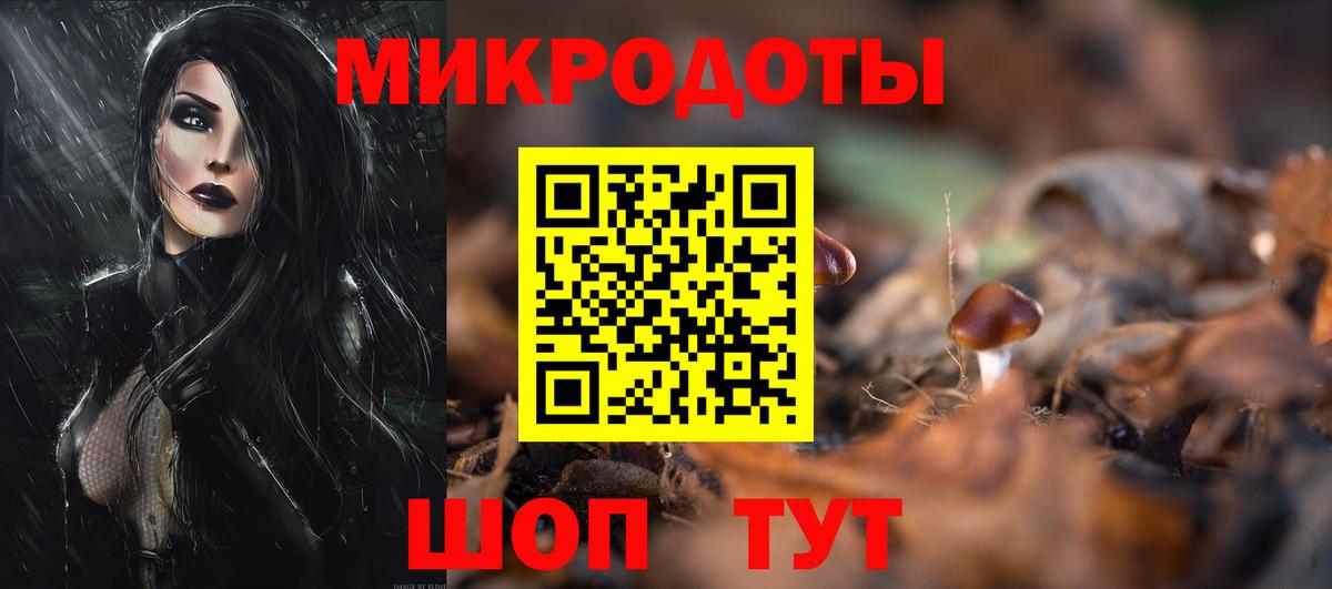 Псилоцибиновые грибы Psilocybe Абинск