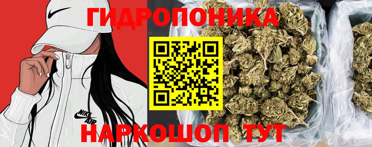 Марихуана план Абинск